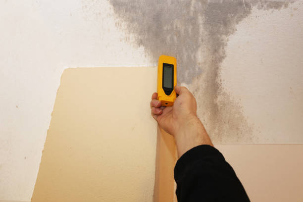 Best Residential Mold Inspection & Testing  in Jamestown, CA