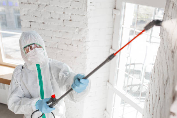 Best Mold Removal for HVAC Installations  in Jamestown, CA