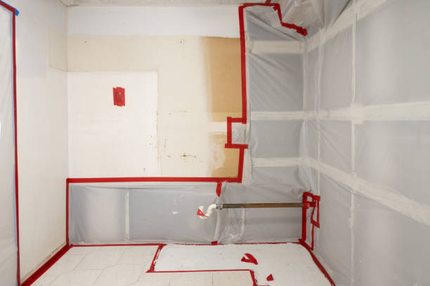 Best Commercial Mold Inspection  in Jamestown, CA