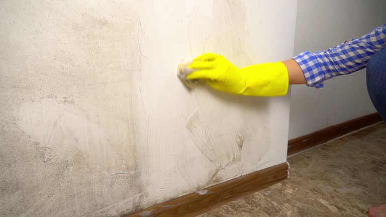 Best Forensic Mold Investigation  in Jamestown, CA