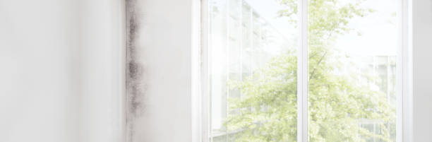 Best Dehumidification Services  in Jamestown, CA