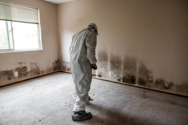 Best Crawl Space Mold Remediation  in Jamestown, CA